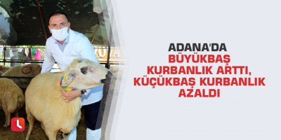Adana'da büyükbaş kurbanlık arttı, küçükbaş kurbanlık azaldı