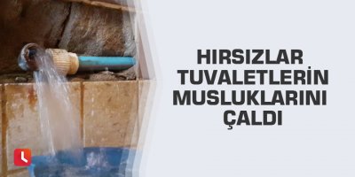 Hırsızlar tuvaletlerin musluklarını çaldı