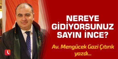 Nereye gidiyorsunuz Sayın İnce?