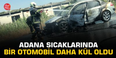 Adana sıcaklarında bir otomobil daha kül oldu