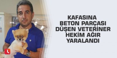 Kafasına beton parçası düşen veteriner hekim ağır yaralandı