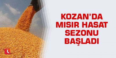 Kozan’da mısır hasat sezonu başladı