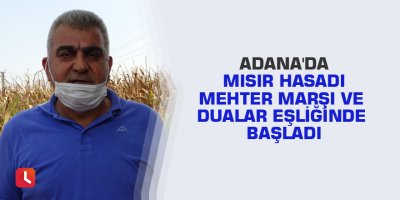 Adana'da mısır hasadı mehter marşı ve dualar eşliğinde başladı