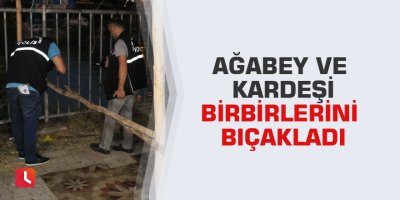 Ağabey ve kardeşi birbirlerini bıçakladı