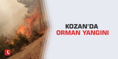 Kozan’da orman yangını