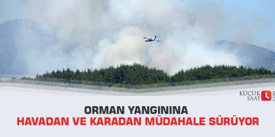 Orman yangınına havadan ve karadan müdahale sürüyor