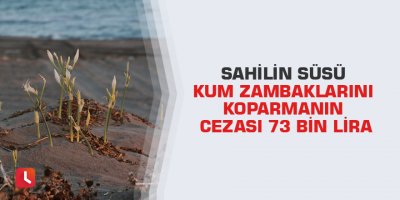 Sahilin süsü kum zambaklarını koparmanın cezası 73 bin lira