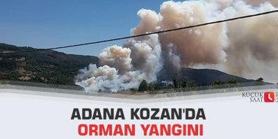 Adana Kozan'da orman yangını
