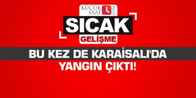 Bu kez de Karaisalı'da yangın çıktı!