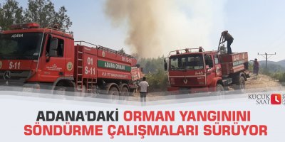 Adana'daki orman yangınını söndürme çalışmaları sürüyor