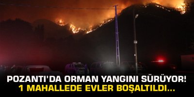 Pozantı’da orman yangını sürüyor! 1 mahallede evler boşaltıldı...