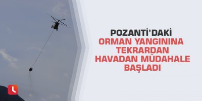 Pozantı’daki orman yangınına tekrardan havadan müdahale başladı