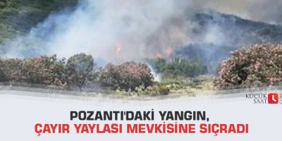 Pozantı'daki yangın, Çayır Yaylası mevkisine sıçradı