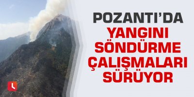 Pozantı’daki yangını söndürme çalışmaları sürüyor