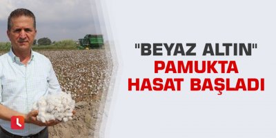 "Beyaz altın" pamukta hasat başladı