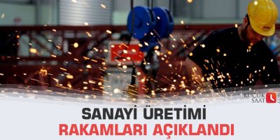 Sanayi üretimi rakamları açıklandı