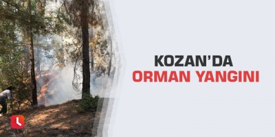 Kozan’da orman yangını