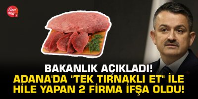 Bakanlık açıkladı! Adana'da "tek tırnaklı et" ile hile yapan 2 firma ifşa oldu!