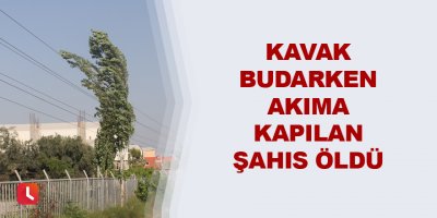 Kavak budarken akıma kapılan şahıs öldü