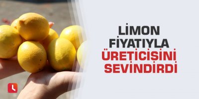 Limon fiyatıyla üreticisini sevindirdi