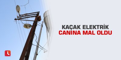Kaçak elektrik canına mal oldu