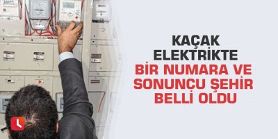 Kaçak elektrikte bir numara ve sonuncu şehir belli oldu