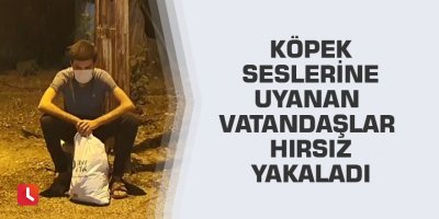 Köpek seslerine uyanan vatandaşlar hırsız yakaladı