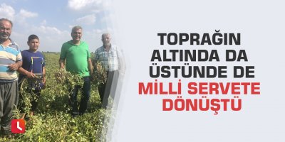 Toprağın altında da üstünde de milli servete dönüştü