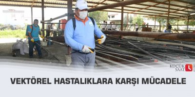 Vektörel hastalıklara karşı mücadele
