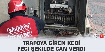 Trafoya giren kedi feci şekilde can verdi