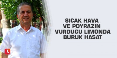 Sıcak hava ve poyrazın vurduğu limonda buruk hasat