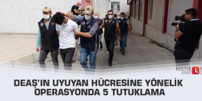DEAŞ’ın uyuyan hücresine yönelik operasyonda 5 tutuklama