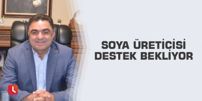 Soya üreticisi destek bekliyor