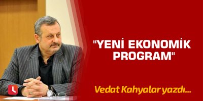 " Yeni Ekonomik Program "
