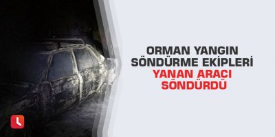 Orman yangın söndürme ekipleri yanan aracı söndürdü