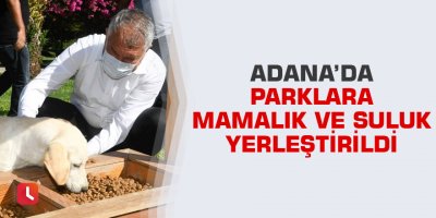 Adana’da parklara mamalık ve suluk yerleştirildi