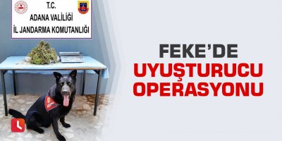 Feke’de uyuşturucu operasyonu