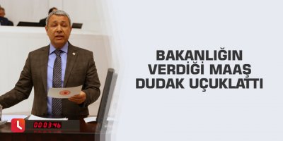 Bakanlığın verdiği maaş dudak uçuklattı