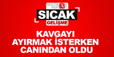 Kavgayı ayırmak isterken canından oldu