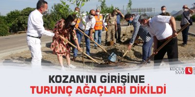 Kozan'ın girişine turunç ağaçları dikildi