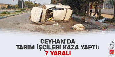 Ceyhan’da tarım işçileri kaza yaptı: 7 yaralı