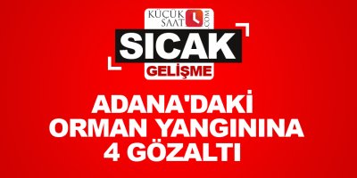Adana'daki orman yangınına 4 gözaltı