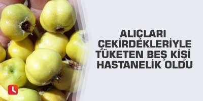 Alıçları çekirdekleriyle tüketen beş kişi hastanelik oldu