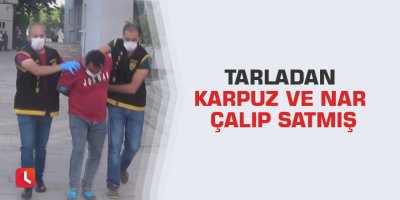 Tarladan karpuz ve nar çalıp satmış