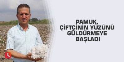 Pamuk, çiftçinin yüzünü güldürmeye başladı