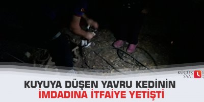Kuyuya düşen yavru kedinin imdadına itfaiye yetişti