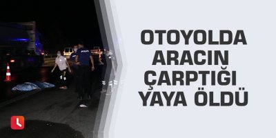 Otoyolda aracın çarptığı yaya öldü