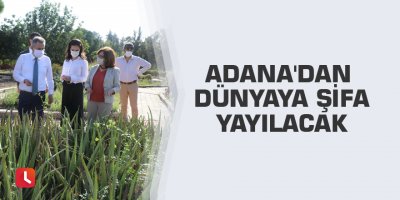 Adana'dan dünyaya şifa yayılacak