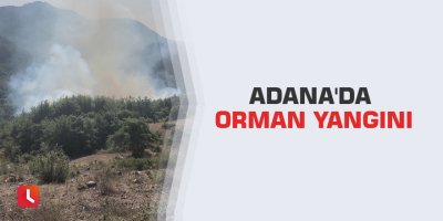 Adana'da orman yangını