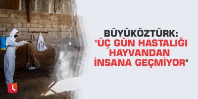 Büyüköztürk: "Üç gün hastalığı hayvandan insana geçmiyor"